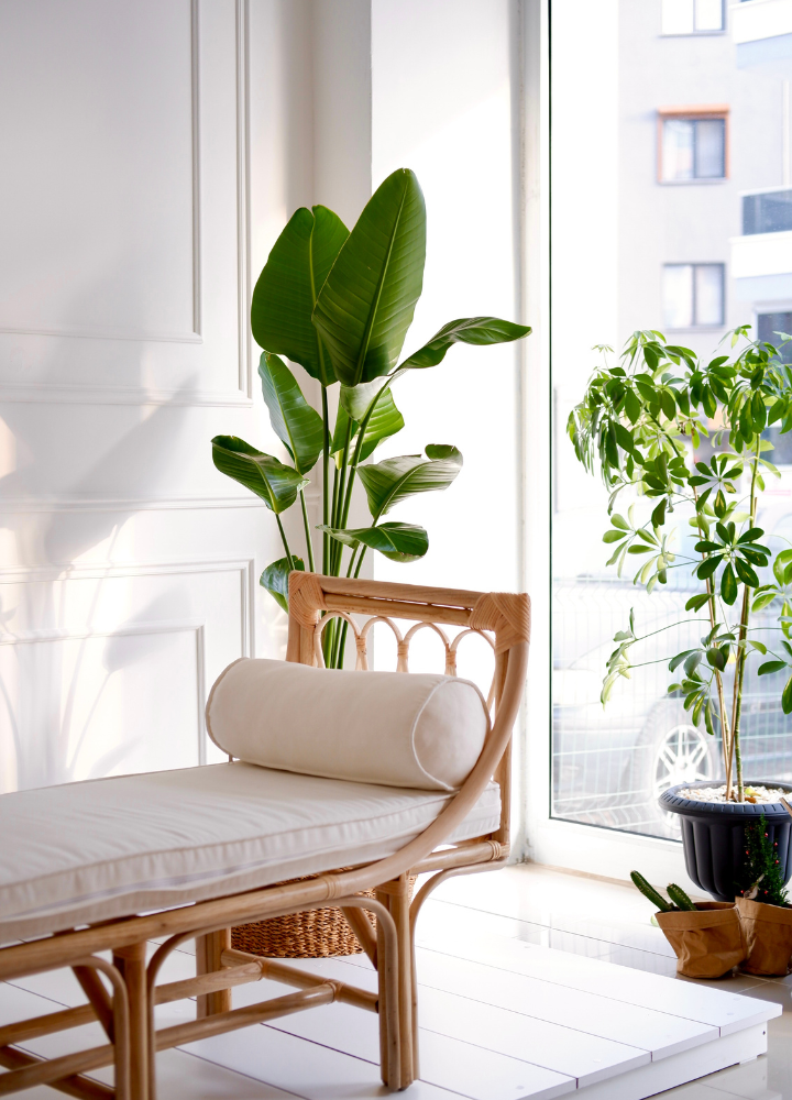 a view of the relaxing area with a wooden sofa and whiten linen