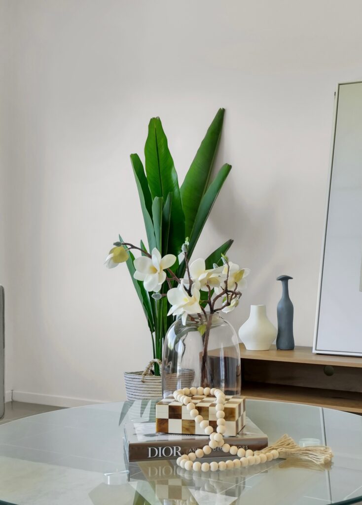 a plant and flower on a table